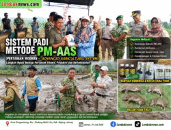 Dukung Swasembada Pangan, Metode PM-AAS Diperkenalkan di Desa Pengambang