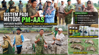 Dukung Swasembada Pangan, Metode PM-AAS Diperkenalkan di Desa Pengambang