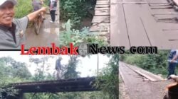 ‎Warga Lubuk Belimbing Desak Pembangunan Jembatan Permanen Demi Keselamatan Anak Sekolah Dan Petani