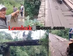 ‎Warga Lubuk Belimbing Desak Pembangunan Jembatan Permanen Demi Keselamatan Anak Sekolah Dan Petani