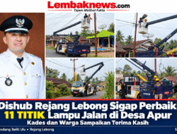 ‎Dishub Rejang Lebong Sigap Perbaiki 11 Titik Lampu Jalan Di Desa Apur, Kades Dan Warga Sampaikan Terima Kasih