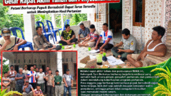 Kelompok Tani Berkarya Tanjung Agung Susun RDKK, Anggota Berharap Pupuk Bersubsidi Dukung Panen Melimpah