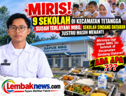 ‎MIRIS! 9 Sekolah Di Kecamatan Tetangga Sudah Terlayani MBG, Mirisnya lagi Dapur Berada Di Kecamatan Sindang Dataran, Sekolah Sindang Dataran Justru Masih Menanti ”’Ada Apa”’