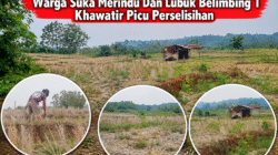 Debit Air Persawahan Menurun, Warga Suka Merindu Dan Lubuk Belimbing 1 Khawatir Picu Perselisihan
