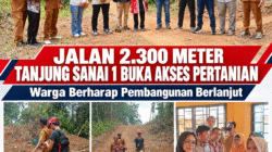 Jalan 2.300 Meter Tanjung Sanai 1 Buka Akses Pertanian, Warga Berharap Pembangunan Berlanjut